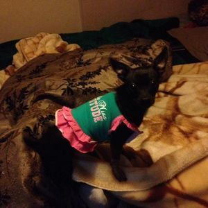 Meet your Posher, Rosalba