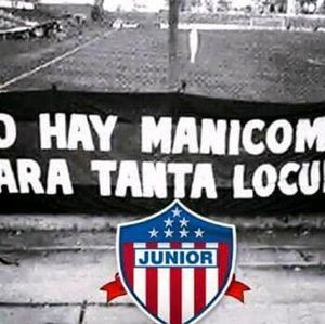 Meet your Posher, Wilson