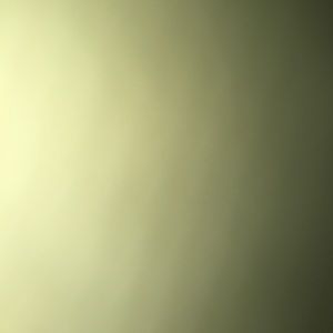 Meet your Posher, Blake