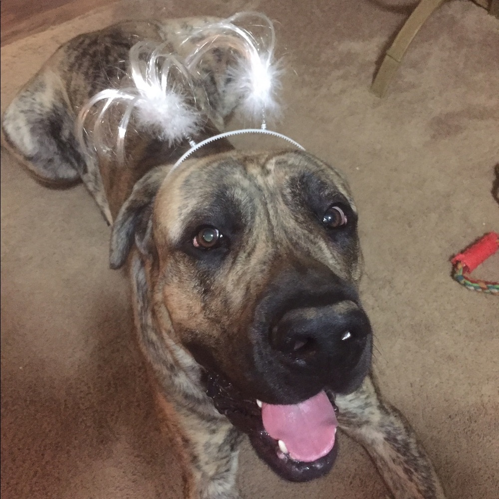 Meet your Posher, Shari