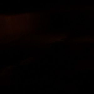 Meet your Posher, Mason