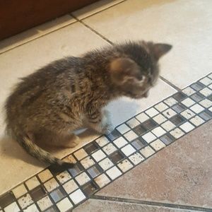 Meet your Posher, Fatima