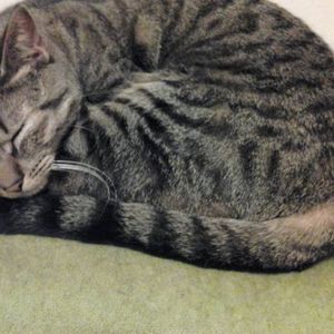 Meet your Posher, Sharon