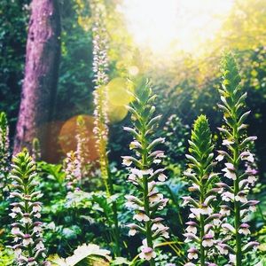 ✨💖NEW ITEMS, FLASH SALES, UPDATES✨💖