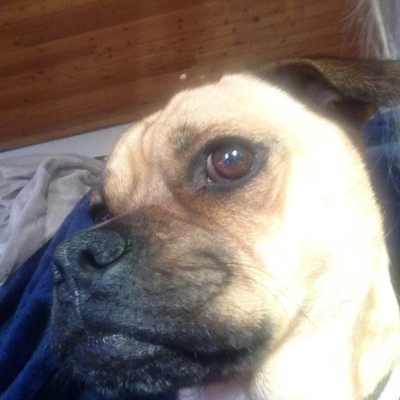 Meet your Posher, Janet - Picture 2 of 2