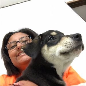 Meet your Posher, Abbey