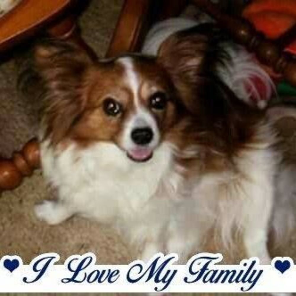 Meet your Posher, Tanya