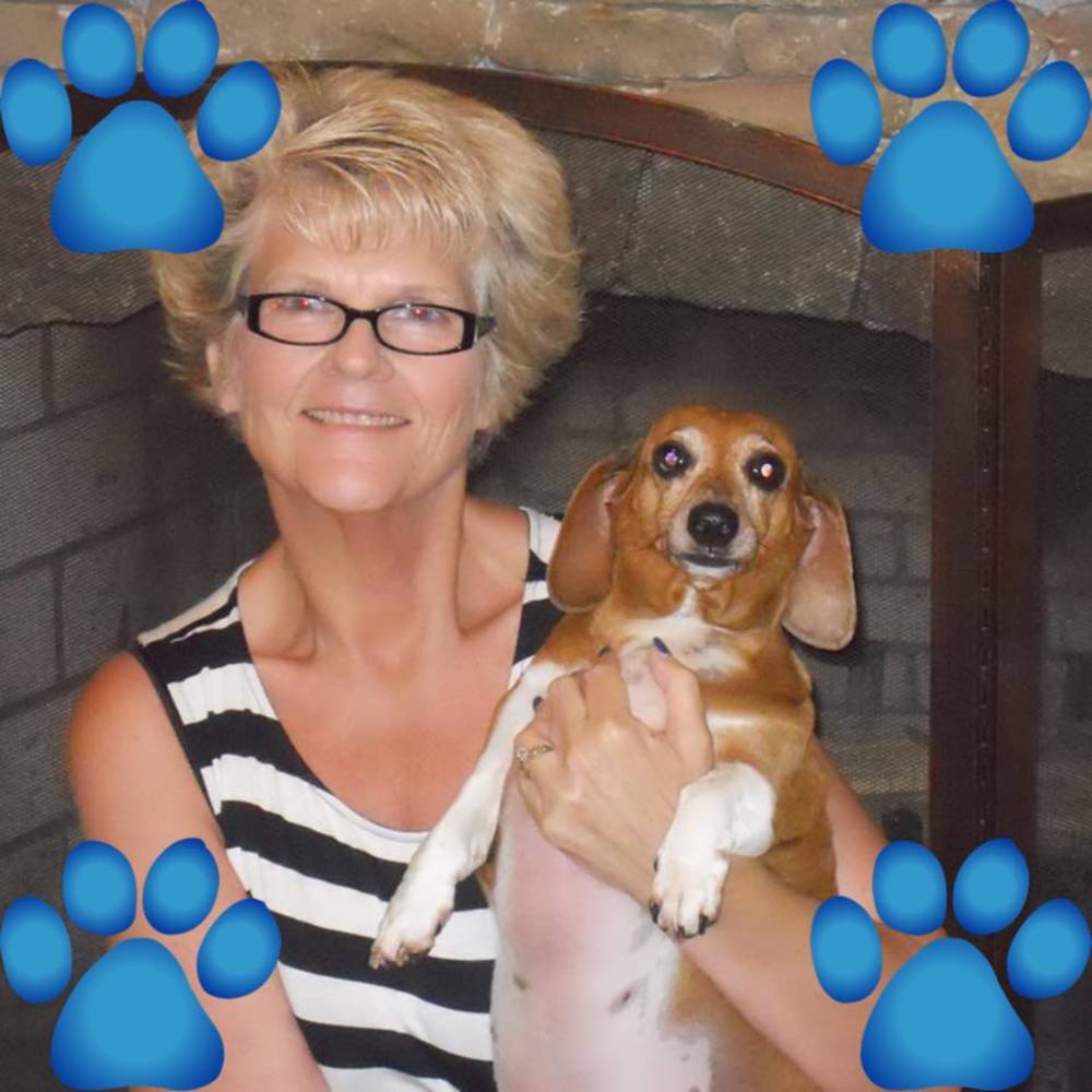 Meet your Posher, Sharon fine