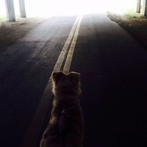 Meet your Posher, Marissa