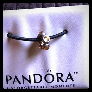 Pandora charm
