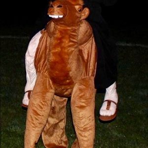 Camel costume