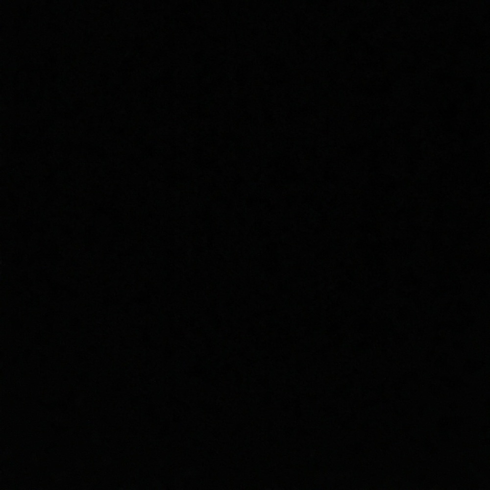 Meet your Posher, Chasity