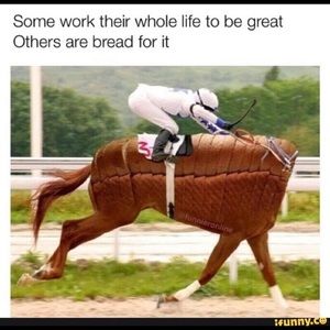 Meet your Posher, Joe