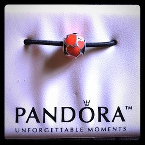 "Red hot love" Pandora charm