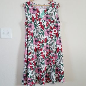 Sunnyvale Honey and Lace dress