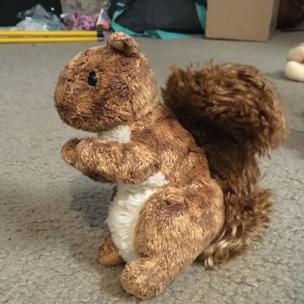 Ty squirrel