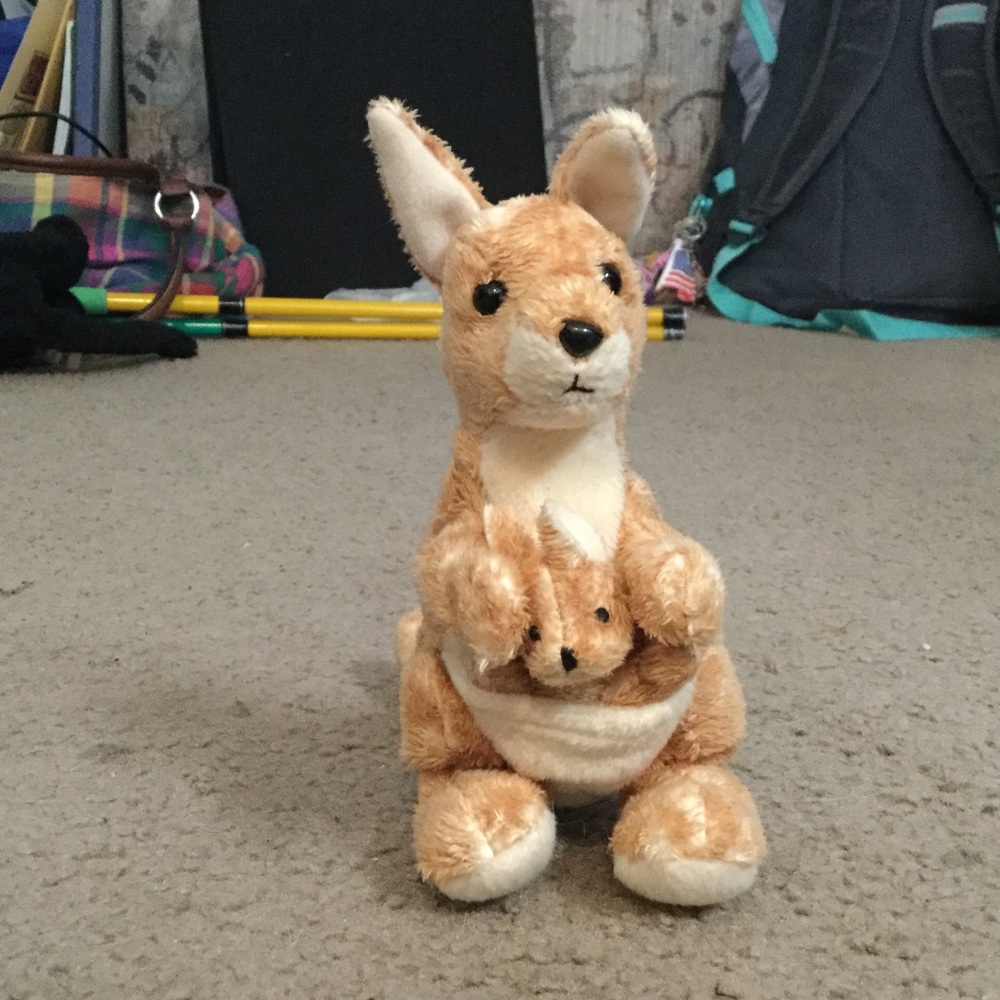 Ty kangaroo!