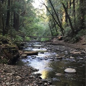 Meet your Posher, Siera