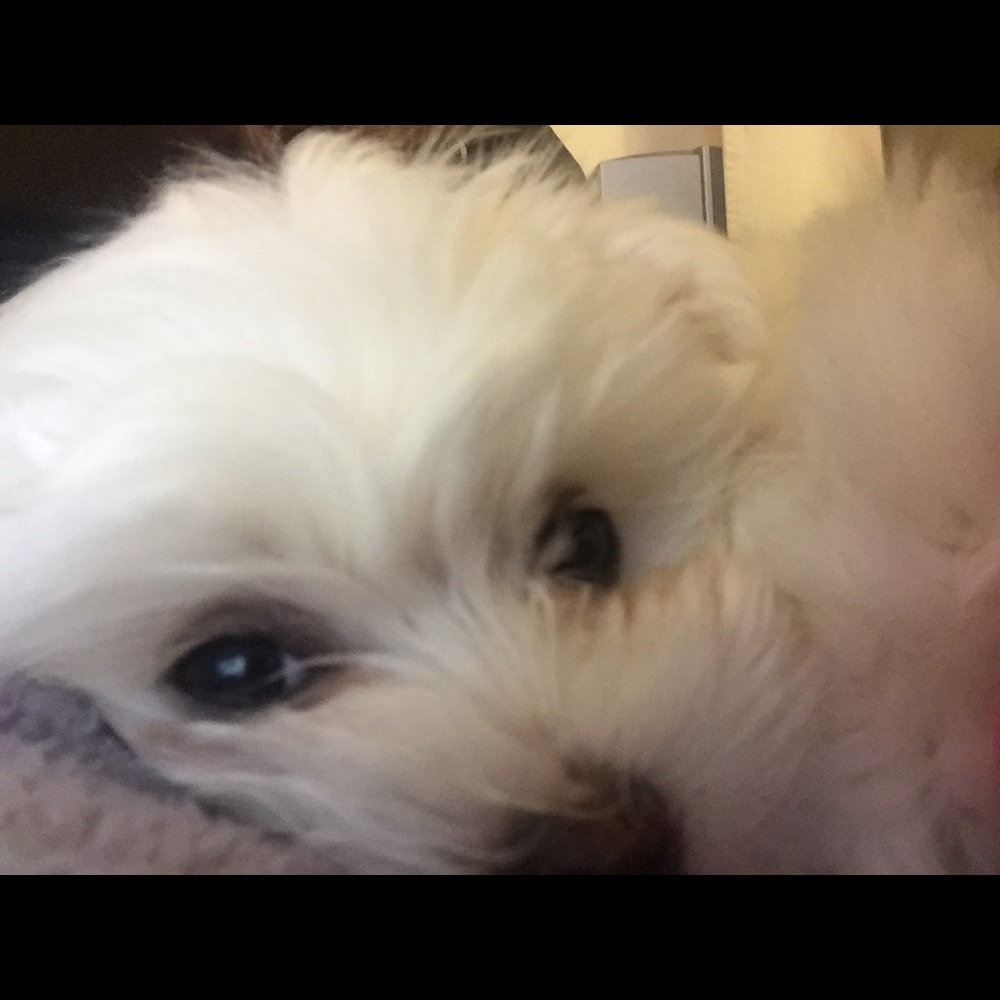 Meet your Posher, BriaNicole