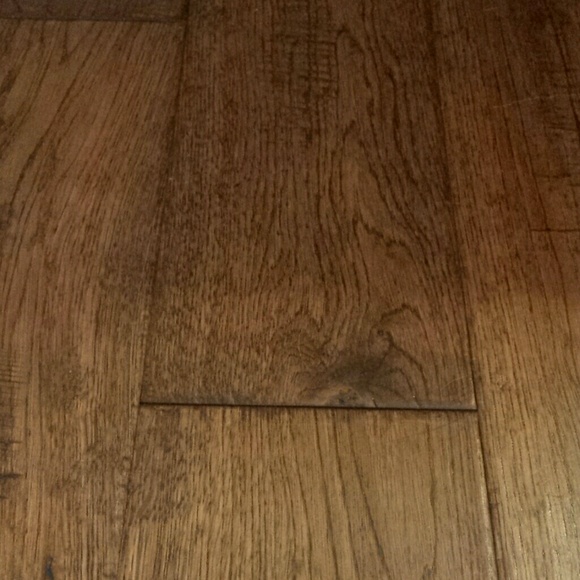 Meet your Posher, Savannah - Picture 1 of 1