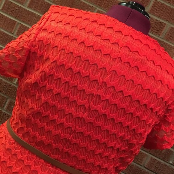 Orange zigzag belted Christmas holiday dress - Picture 6 of 6