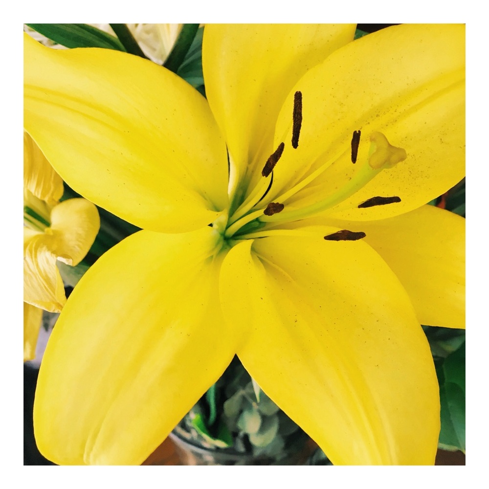 Meet your Posher, Gloria