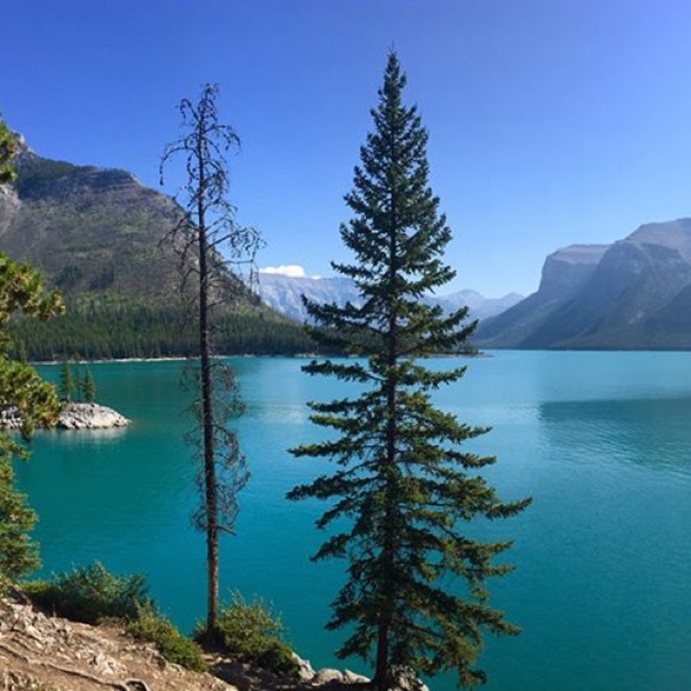 Meet your Posher, Jp