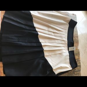 Ann Taylor Navy and Blue! Brand New