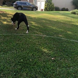 Meet your Posher, Mayte