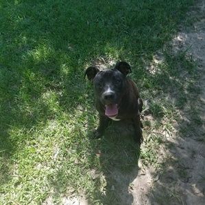 Meet your Posher, Thomas