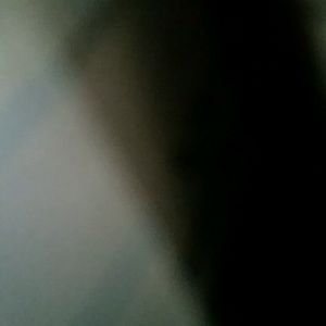 Meet your Posher, Eulalee