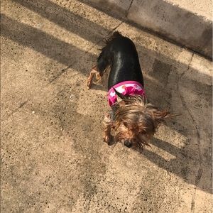 Meet your Posher, Gianpiero