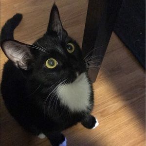 Meet your Posher, Carrie