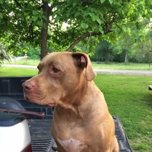 Meet your Posher, Christy