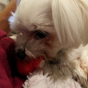 Meet your Posher, Sooyeon