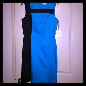 NWT Calvin Klein color block dress 12
