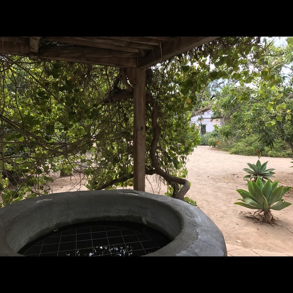 This is TheCactusFeels - Picture 2 of 7