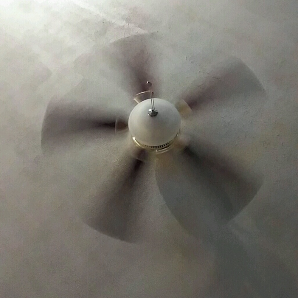 Meet your Posher, Jackie