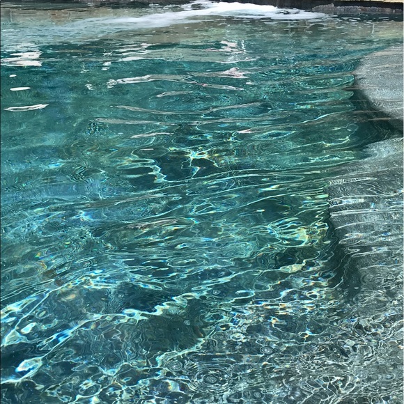 Meet your Posher, Amelia - Picture 1 of 1