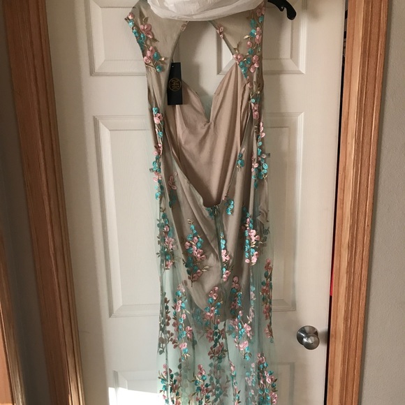 Size 2x Plus Size See Through Dress - Picture 2 of 8