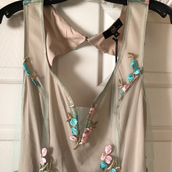 Size 2x Plus Size See Through Dress - Picture 5 of 8