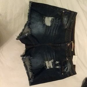 Women's plus size shorts