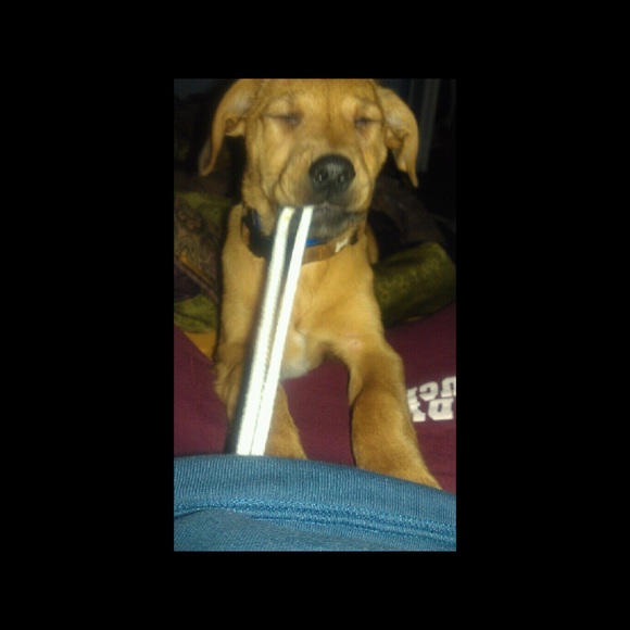 Meet your Posher, Linsey - Picture 1 of 1