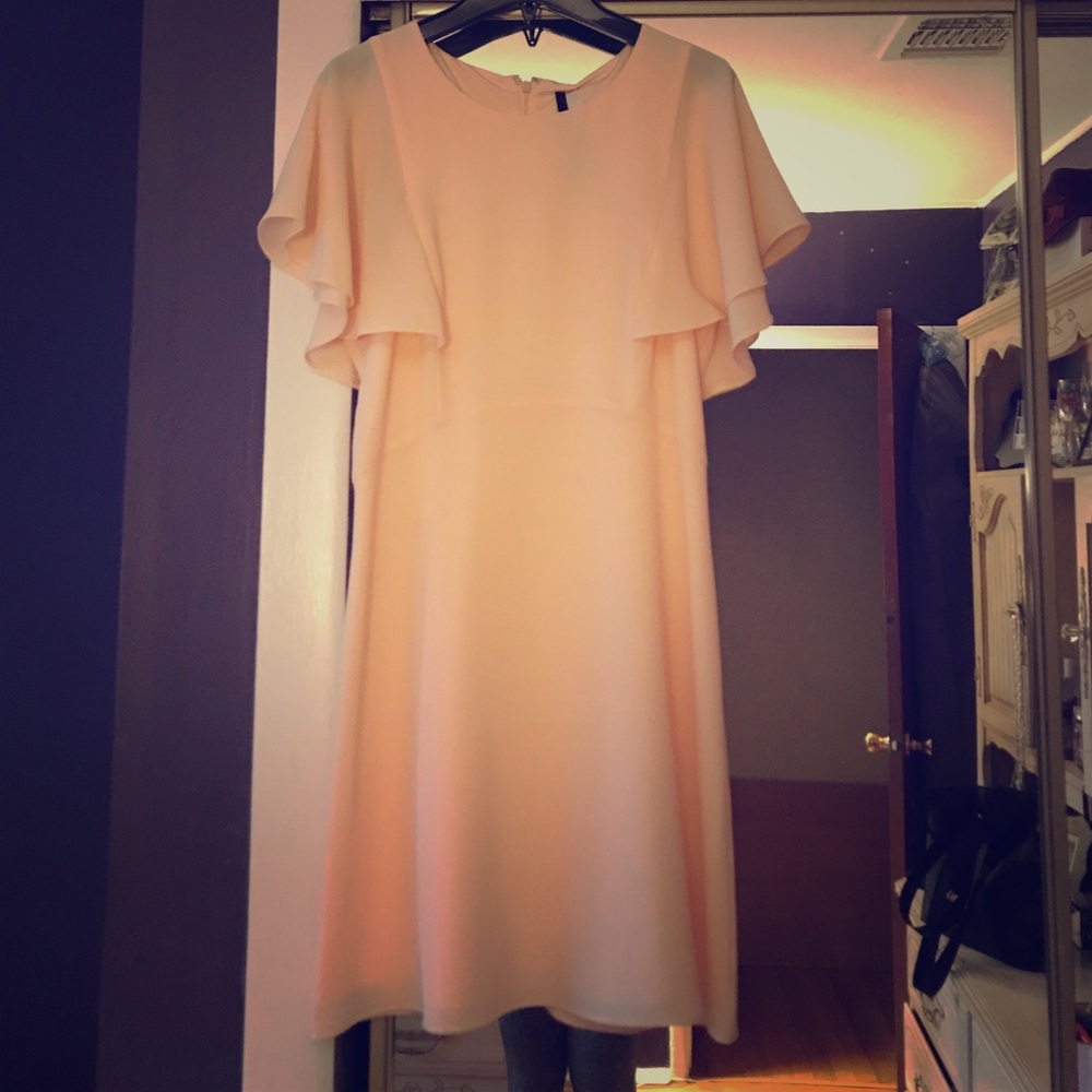 Kensie blush ruffle sleeve dress