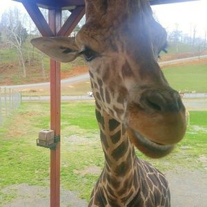 Meet your Posher, Lydia