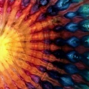 Meet your Posher, Carrie lea