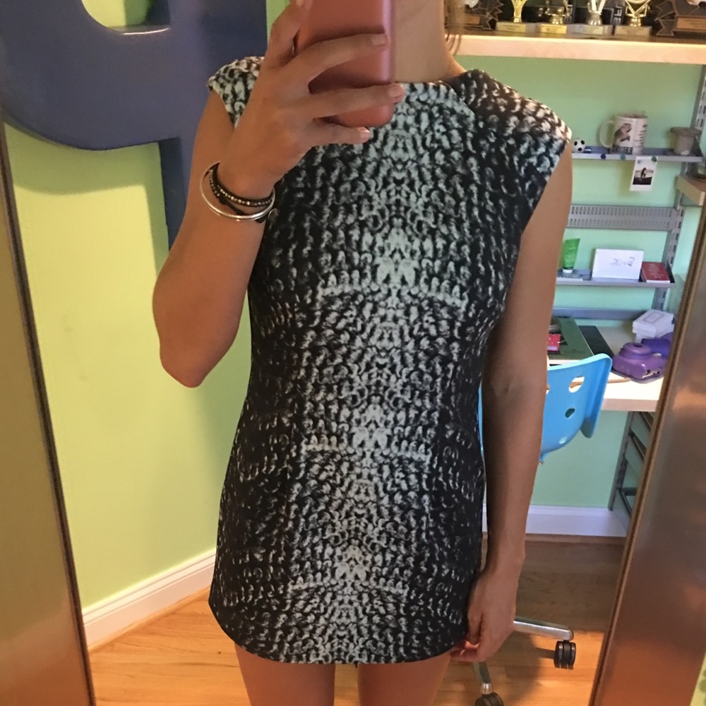 Cynthia Steffe snakeskin print scuba dress