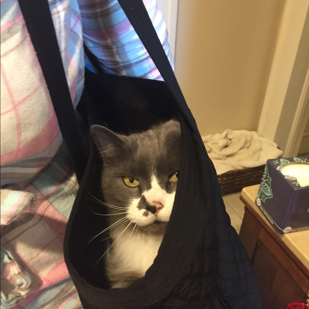 Meet your Posher, Martha