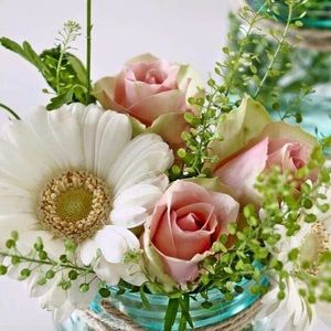 Meet your Posher, Alma