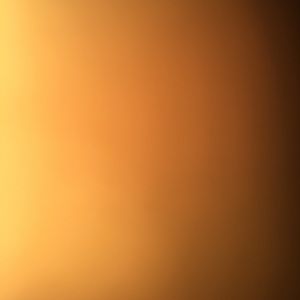 Meet your Posher, Zeb